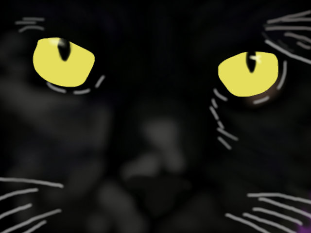 THE BLACK CAT.jpg